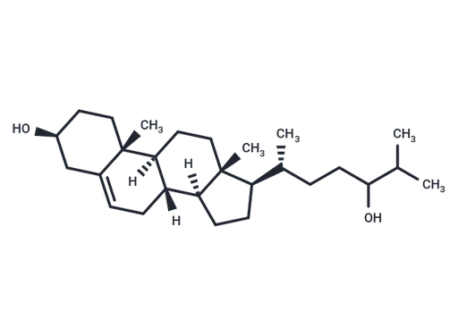 24-Hydroxycholesterol