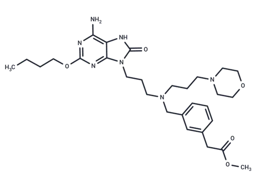 AZD8848