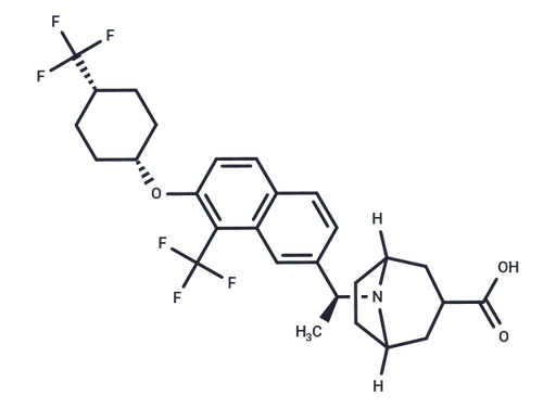 BIO-32546