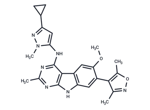 CF53