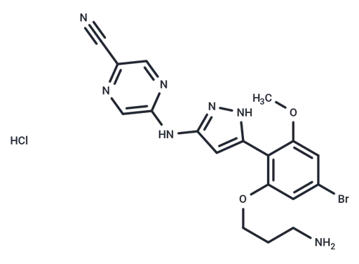 CHK1-IN-4 hydrochloride