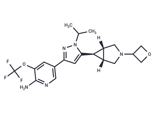 DLK-IN-1