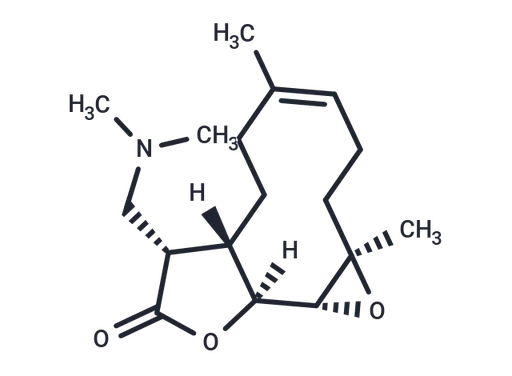 DMAPT