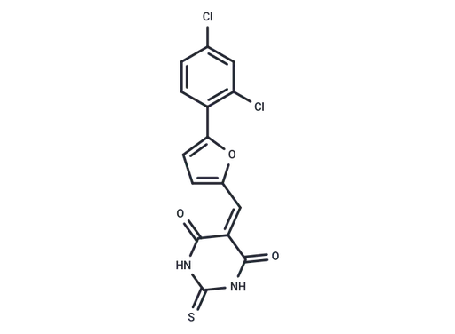 EPAC 5376753