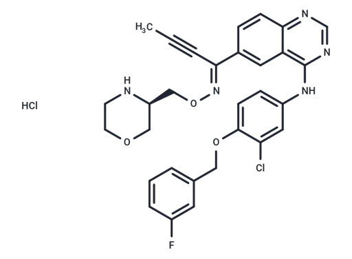 Epertinib hydrochloride