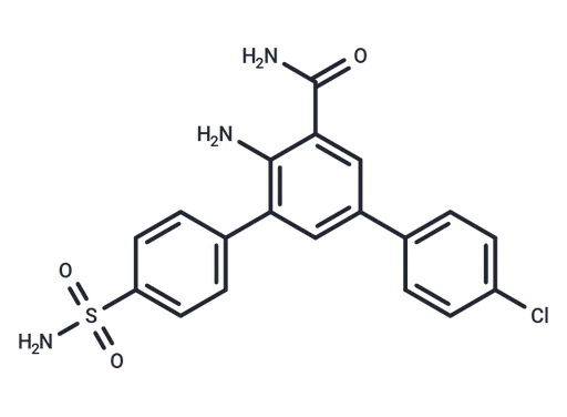 HPN-01