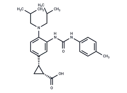 IDO-IN-4