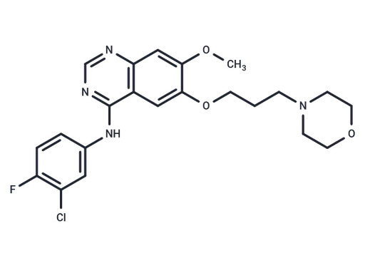 Gefitinib