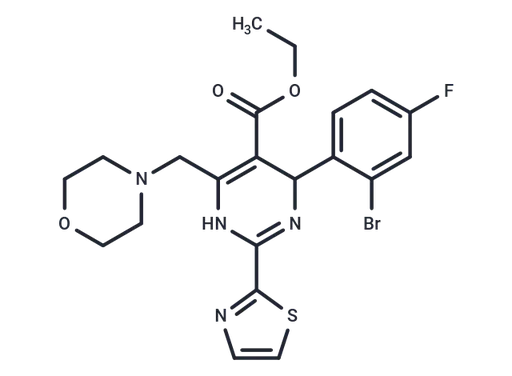 Morphothiadin
