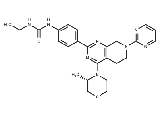 mTOR inhibitor-3