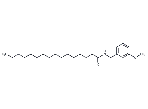 N-(3-Methoxybenzyl)Palmitamide