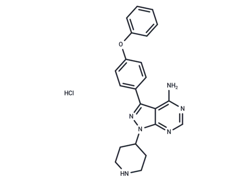 N-piperidine Ibrutinib hydrochloride