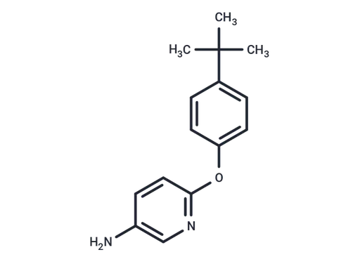 CB-103