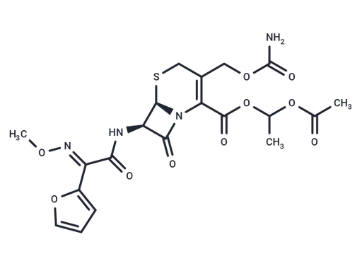 Cefuroxime axetil