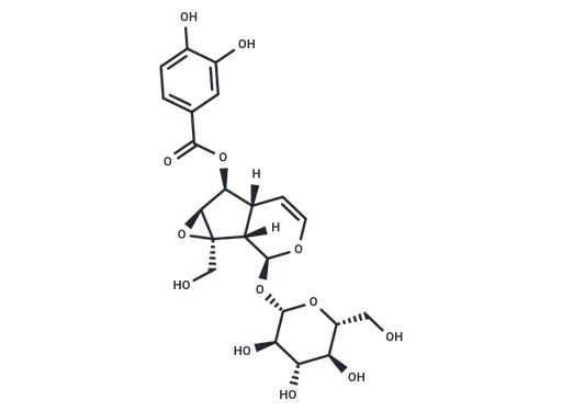 Verproside