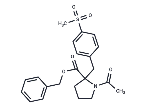 (+)-KCC2 blocker 1