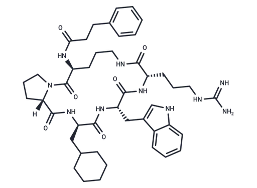 PMX 205