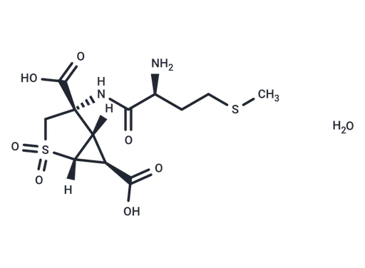 Pomaglumetad methionil