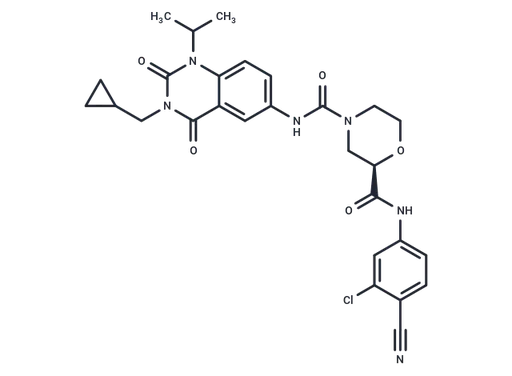 RORγt Inverse agonist 6