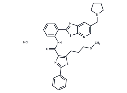Sirtuin modulator 1