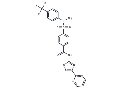 SSTC3