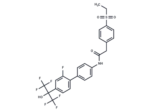 XY101