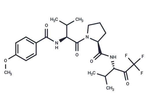 ZD-0892
