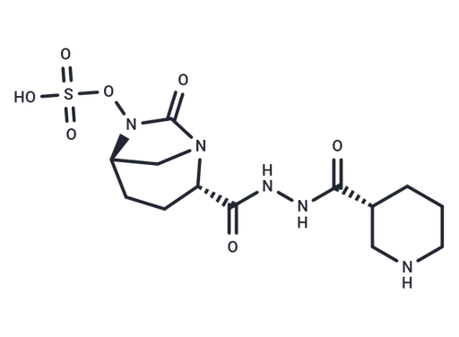 Zidebactam