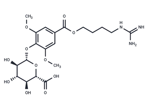ZYZ-488