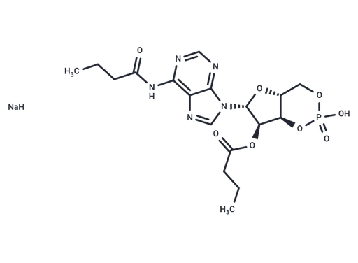 Bucladesine sodium