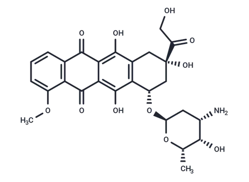 Doxorubicin