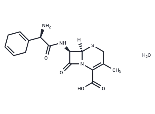 Cephradine monohydrate