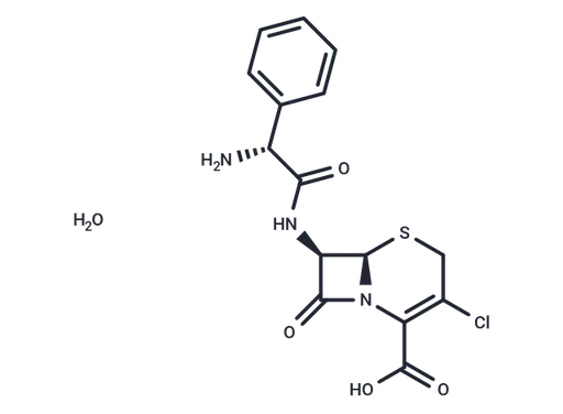 Cefaclor monohydrate