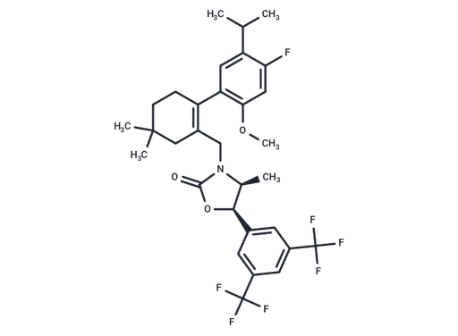 CKD-519