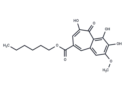 CU-CPT22