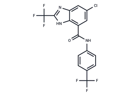 DK419