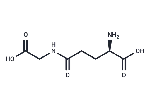 γ-DGG
