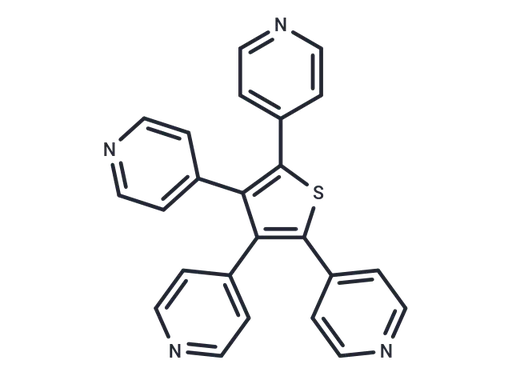 GANT 58