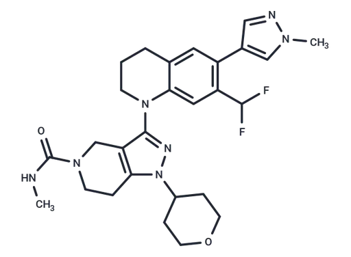 GNE-781