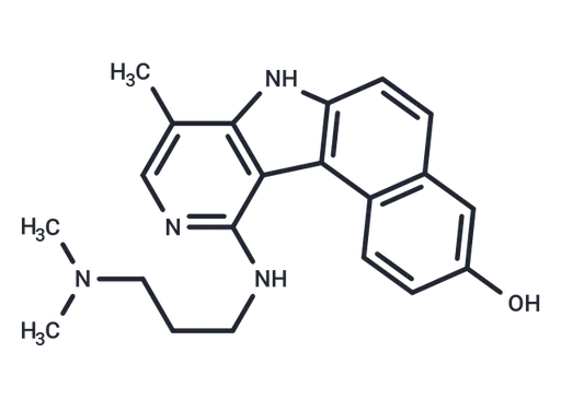 Intoplicine