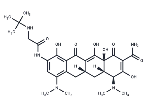 Tigecycline