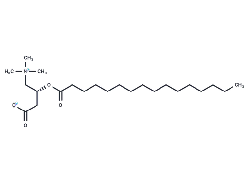 L-Palmitoylcarnitine