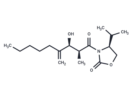 LMT-28