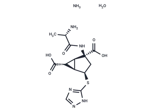 LY2979165