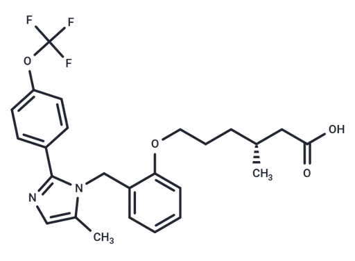 MA-0204