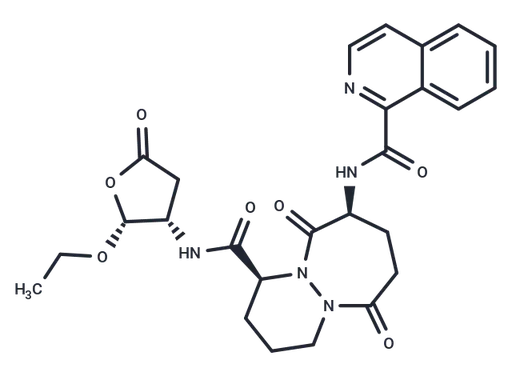 Pralnacasan