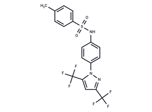 Pyr10