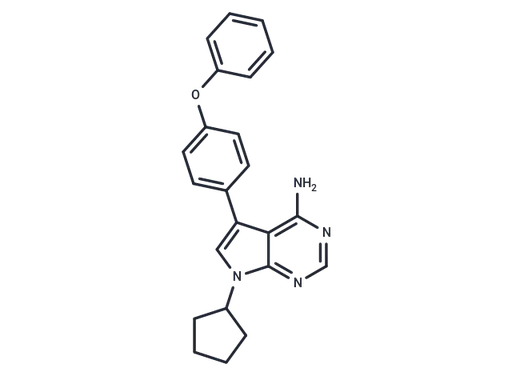 RK-24466