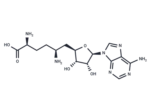 Sinefungin