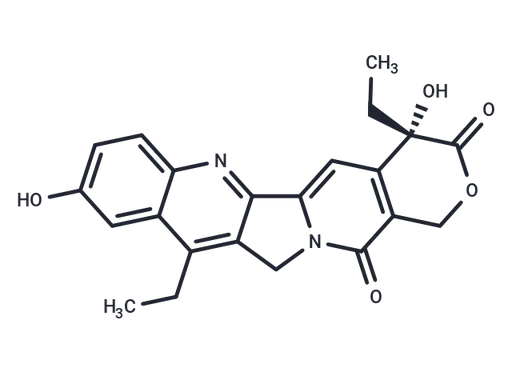 SN-38